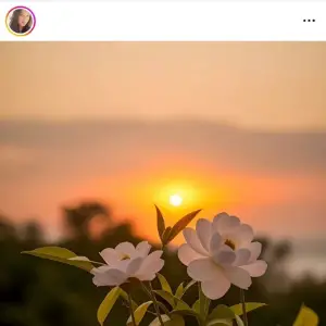 Instagram story viewer